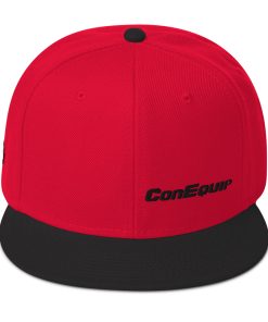 Embroidered Back logo - Snapback Hat